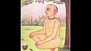 श्री विट्ठल विपुल देव जी